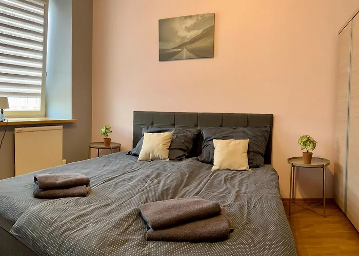 Apartament W Centrum Miasta 6